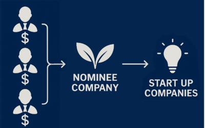 What is a nominee holding company?